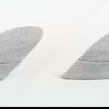 Beanie Nike Terra Swoosh Beanie Universal Siva | HF0189-063, 1