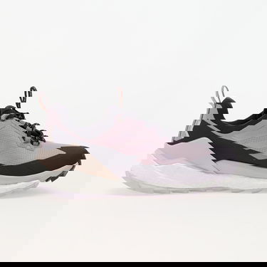 Superge in čevlji adidas Performance Terrex Free Hiker 2 Low Gtx W Prlofi/ Silver Dawn/ Aurbla Lila | IH3540, 2