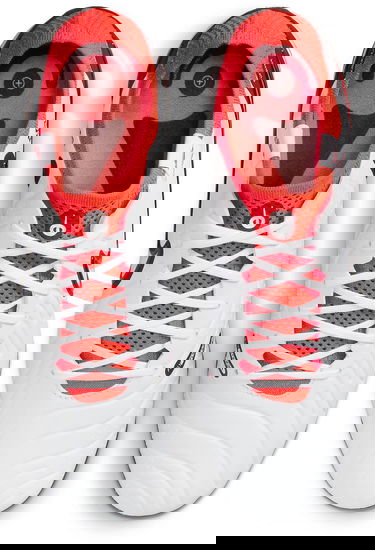 Superge in čevlji Nike LEGEND 10 ELITE FG Bela | dv4328-100, 4