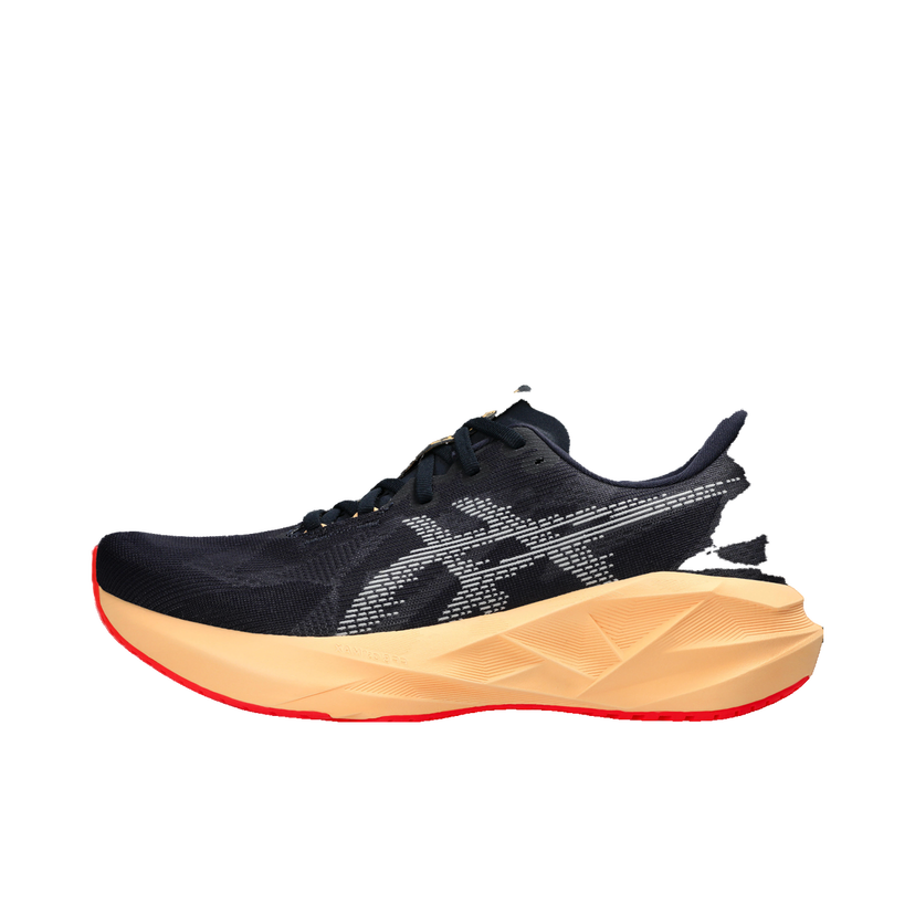 Superge in čevlji Asics NOVABLAST 5 Črna | 1011b974-404