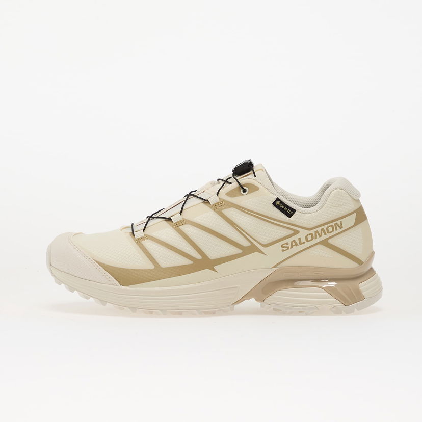 Superge in čevlji Salomon XT-Pathway Gtx Bež | L47861800