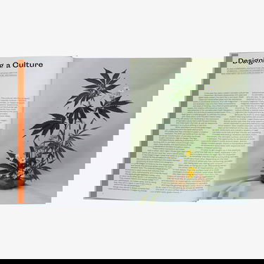 Knjige in revije gestalten The New Canabis Culture: High On Design Universal Večbarvna | 58807, 1