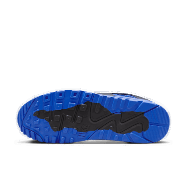 Superge in čevlji Nike Air Max 90 Gore-Tex Siva | FD5810-003, 1