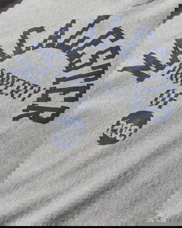 Pulover Champion Graphic Crewneck Sweatshirt Siva | C3U037 X040, 3
