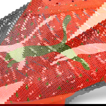 Superge in čevlji Puma FUTURE 1.4 FG/AG Rdeča | 106989_03, 10
