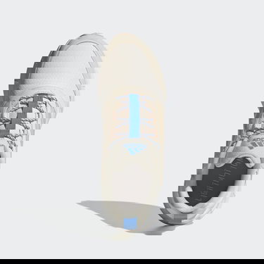 Superge in čevlji adidas Performance Boty Duramo Protect Bež | GW4148, 1