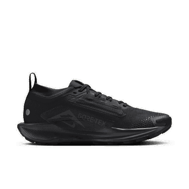 Superge in čevlji Nike Pegasus Trail 5 GORE-TEX Črna | FQ0912-002, 4