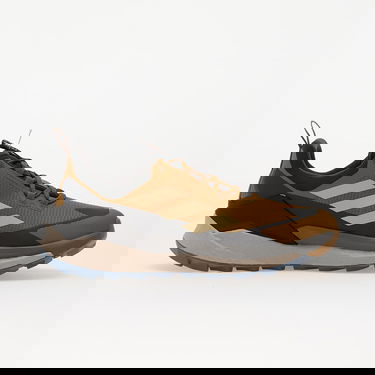 Superge in čevlji adidas Performance Terrex Free Hiker 2.0 Low Gore-Tex Rjava | JP5611, 2