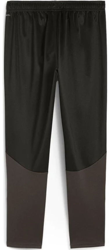 Trenirka Puma teamGOAL Training Pant Črna | 658639-03, 1