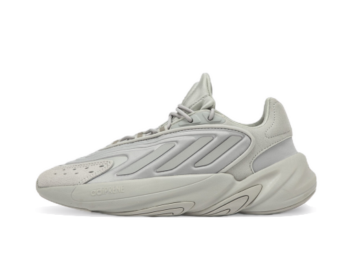 Superge in čevlji adidas Originals Ozelia W Siva | H04252