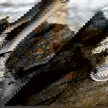 Superge in čevlji adidas Performance Terrex Hydroterra Light Siva | IF3102, 4
