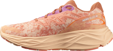 Superge in čevlji Salomon AERO GLIDE 2 W Bež | l47426600, 3