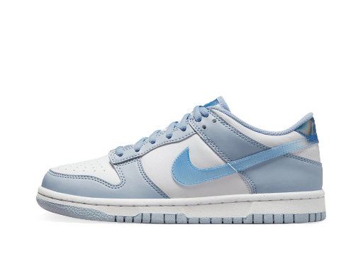 Superge in čevlji Nike Dunk Low Next Nature Blue Iridescent (GS) Modra | FJ4668-400