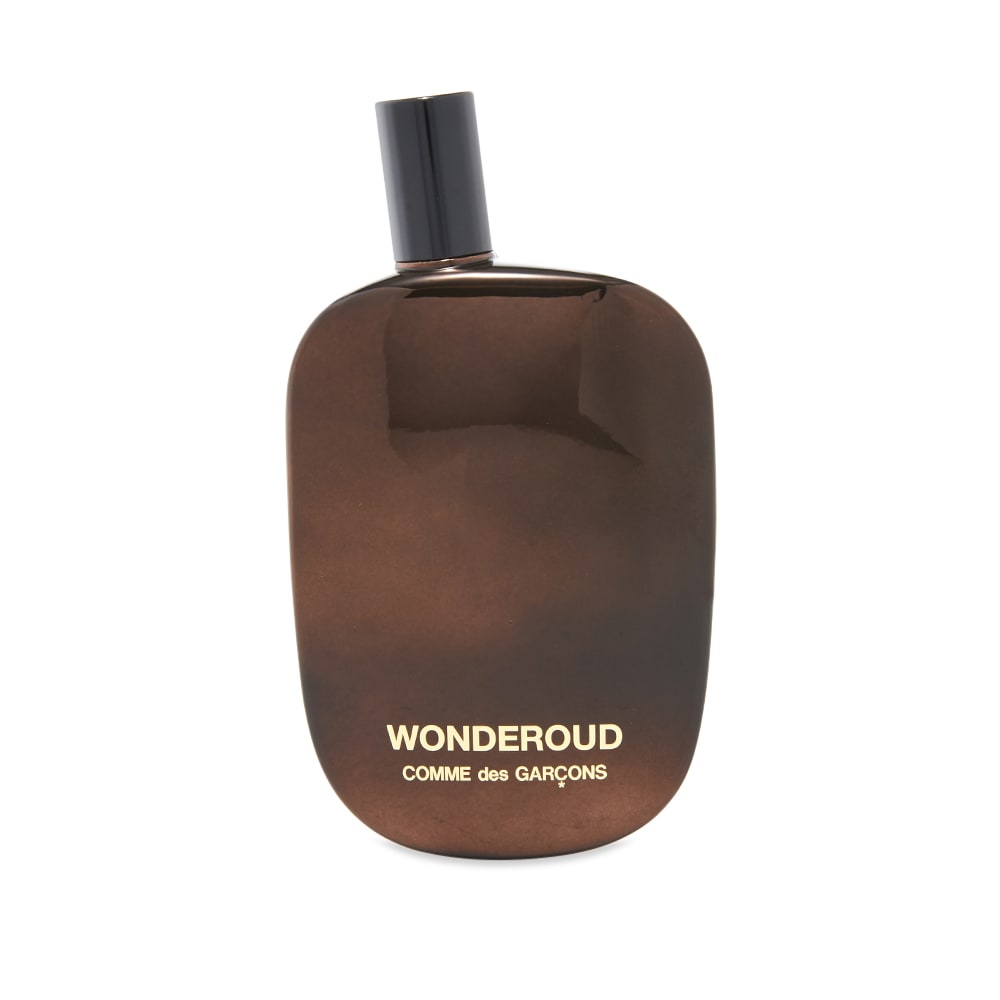 Parfumi in dišave Comme des Garçons Wonderoud Eau de Parfum in 100ml Črna | 65090991, 0