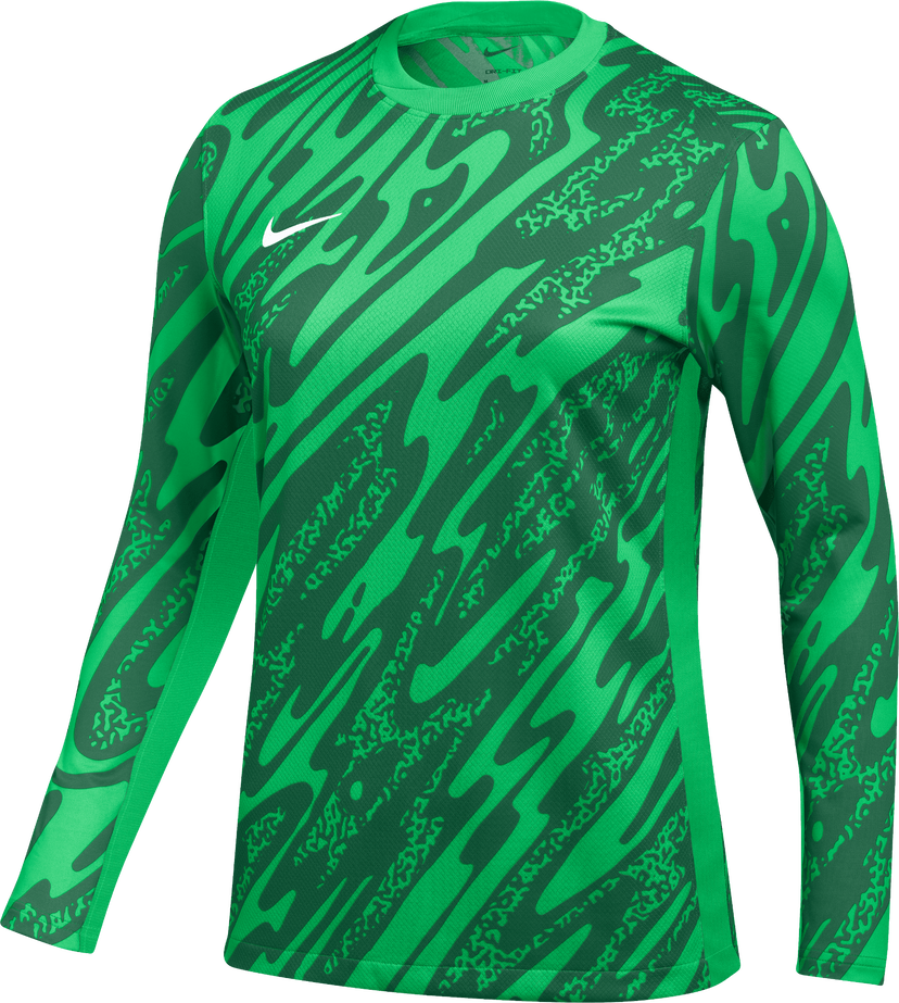 Dres Nike Nike Gardien V Goalkeeper Jersey Zelena | fd7477-329