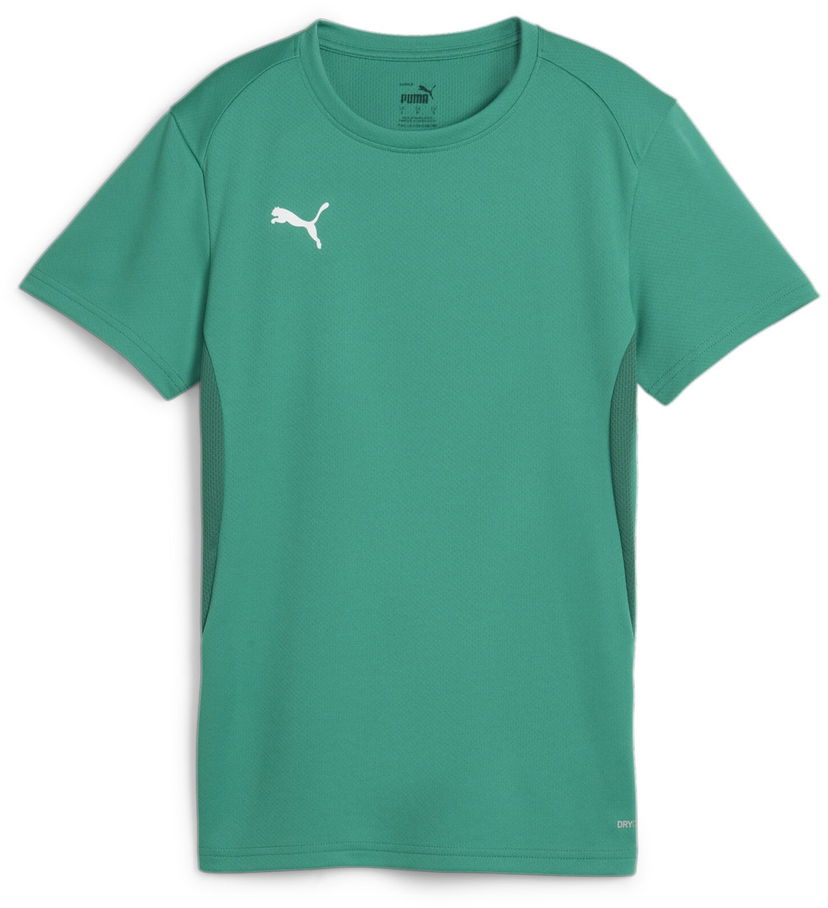 Majica Puma teamGOAL T-shirt Zelena | 658638-05