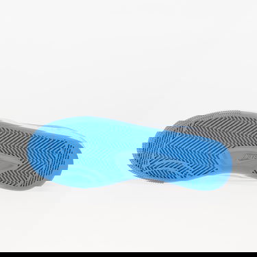 Superge in čevlji Nike Terminator Low "University Blue" Modra | FQ8748-412, 5