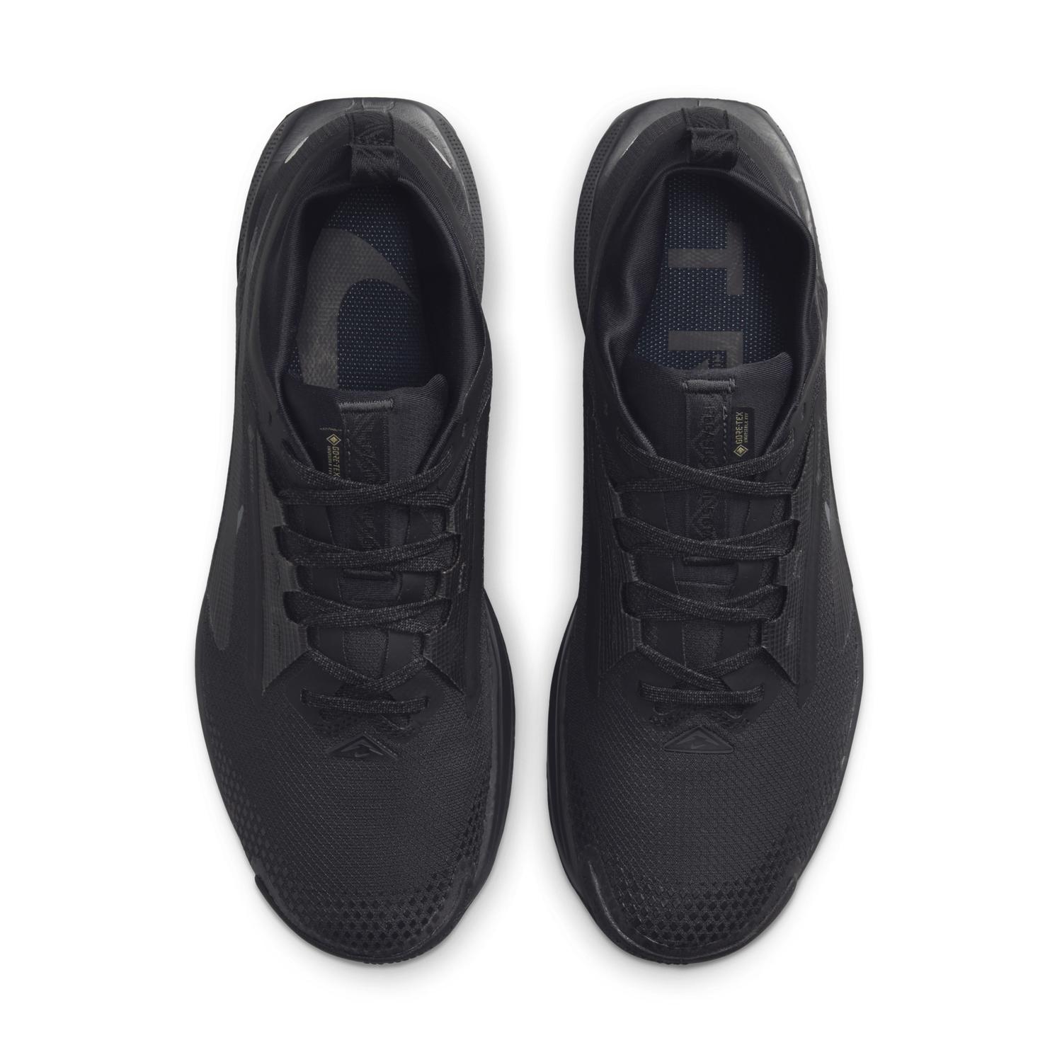 Superge in čevlji Nike Pegasus Trail 5 GORE-TEX Črna | FQ0908-002, 1
