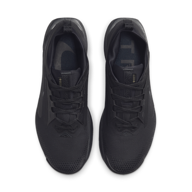 Superge in čevlji Nike Pegasus Trail 5 GORE-TEX Črna | FQ0908-002, 1
