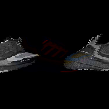 Superge in čevlji adidas Performance Boty Ultraboost 22 GORE-TEX Črna | GZ6876, 4