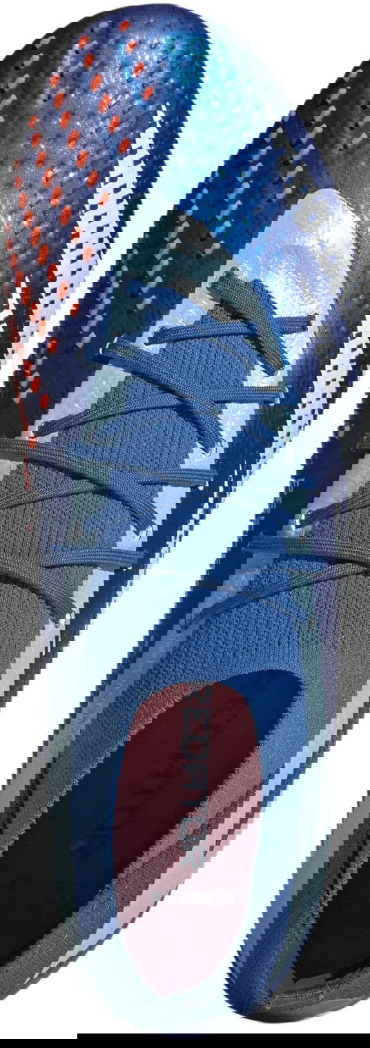 Superge in čevlji adidas Performance Predator Accuracy.1 FG Modra | gz0038, 1