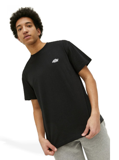 Majica Dickies Cotton T-shirt Črna | DK0A4YAIBLK1