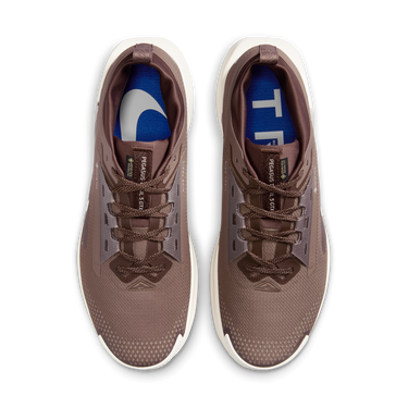 Superge in čevlji Nike Pegasus Trail 5 GORE-TEX SP Rjava | HQ7494-200, 1