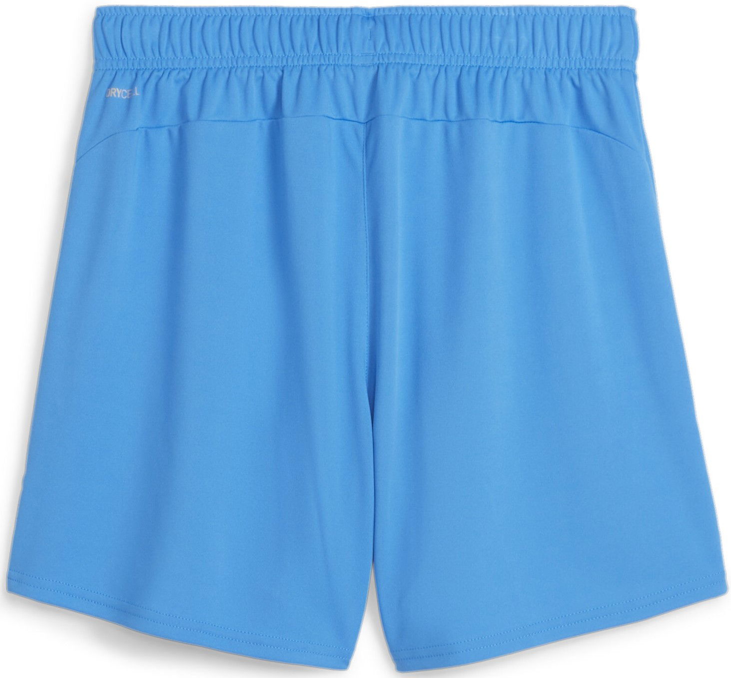 Kratke hlače Puma teamGOAL Shorts Wmns Modra | 705754-02, 1