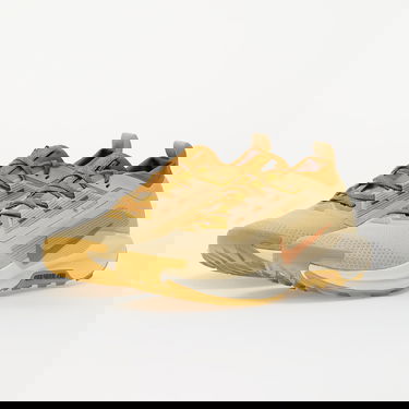 Superge in čevlji Nike React Pegasus Trail 5 GTX SP Bež | HQ7494-700, 5