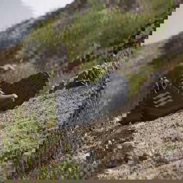 Superge in čevlji adidas Performance adidas TERREX TRAILMAKER 2 GORE-TEX Črna | IE5144, 2