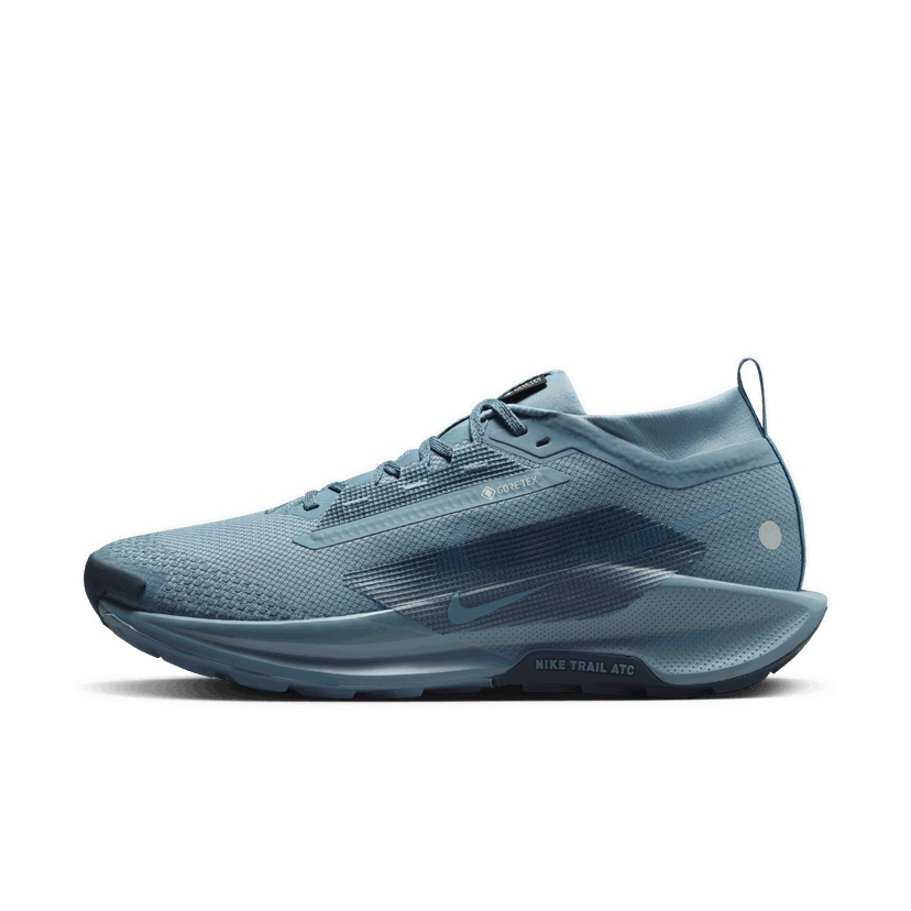 Tek Nike Pegasus Trail 5 GORE-TEX Modra | FQ0908-005
