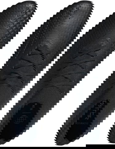 Superge in čevlji adidas Performance PREDATOR ACCURACY.2 FG Črna | gw4588, 1
