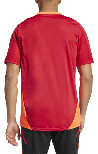 Dres adidas Originals adidas TIRO24 C TR JSY Rdeča | is1658, 3