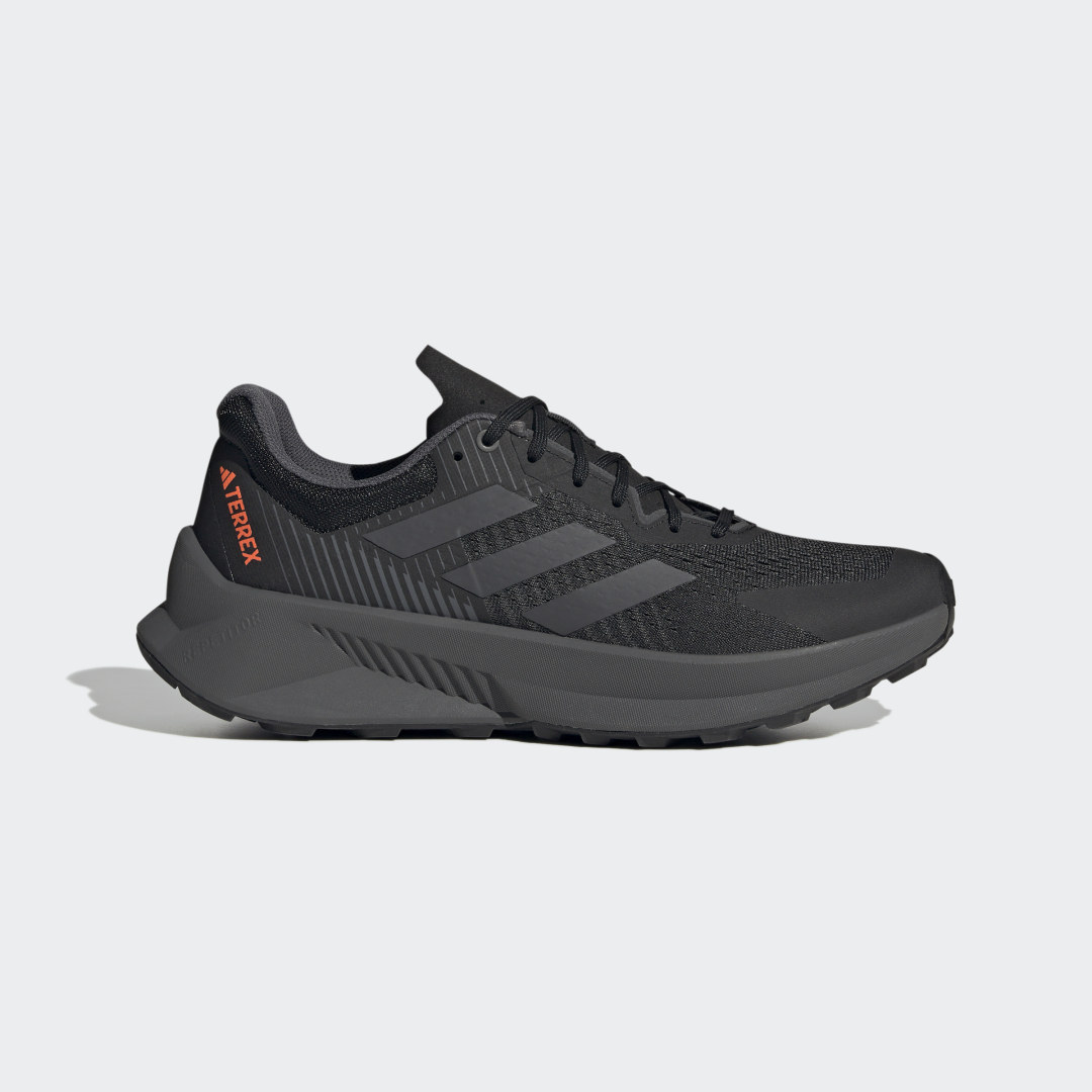 Superge in čevlji adidas Performance TERREX Soulstride Flow Črna | GX1822, 1