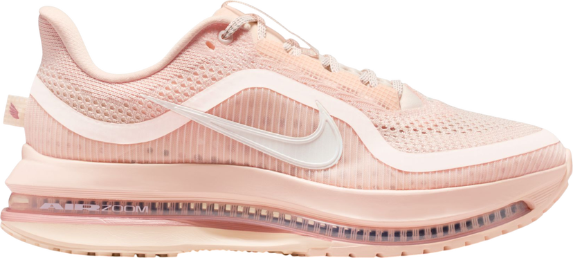 Superge in čevlji Nike Pegasus Premium Roza | hq2593-801