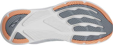 Superge in čevlji Altra Running Altra Experience Flow 2 Siva | al0a85rf-2201, 1