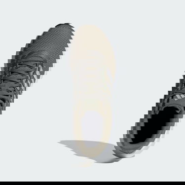 Superge in čevlji adidas Performance Runfalcon 3 Siva | IE0737, 3