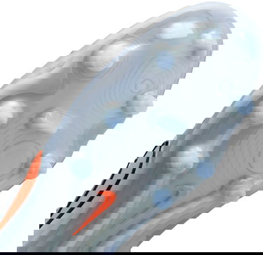 Superge in čevlji Nike LEGEND 10 ELITE FG Siva | dv4328-402, 6