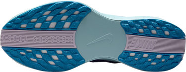 Superge in čevlji Nike Pegasus Plus Premium Modra | hq1719-400, 4