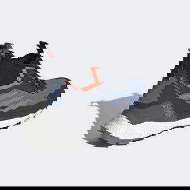 Superge in čevlji adidas Performance Terrex Free Hiker GORE-TEX Hiking 2.0 Črna | HQ8382, 1