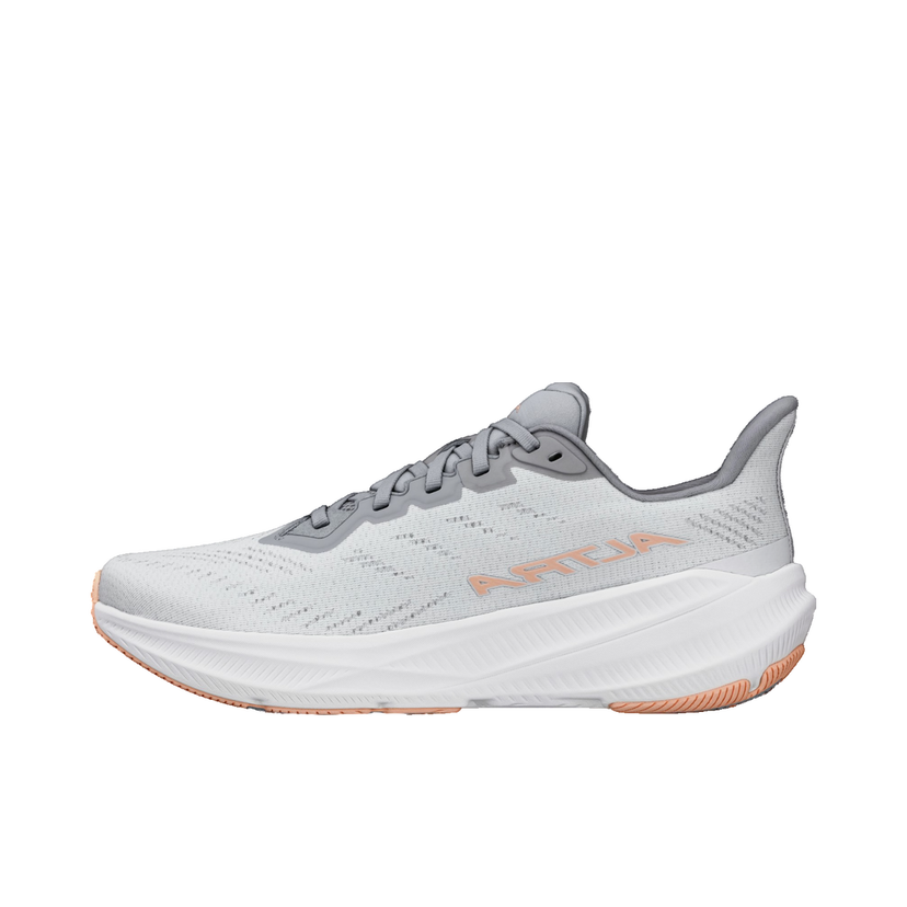 Superge in čevlji Altra Running Altra Experience Flow 2 Siva | al0a85rf-2201