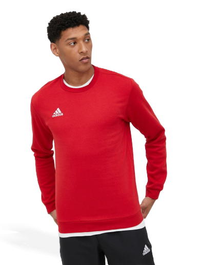 Pulover adidas Originals Sweatshirt Entrada 22 Rdeča | hb0577