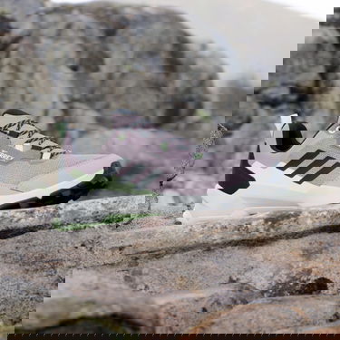 Superge in čevlji adidas Performance adidas TERREX Boty Terrex AX4 Hiking Lila | IE2571, 3