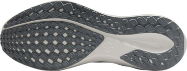Superge in čevlji Nike Pegasus 41 Siva | fd2723-007, 4