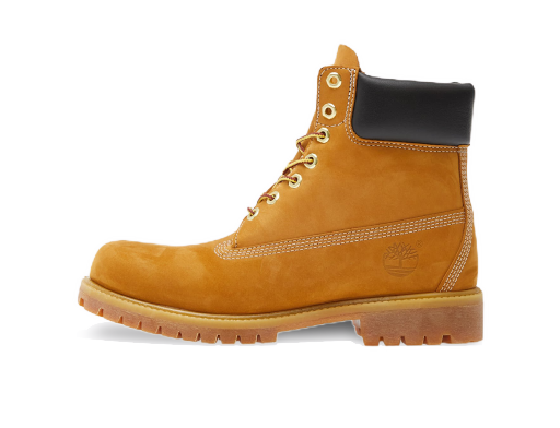 Superge in čevlji Timberland 6 Inch Premium Waterproof Boot Rjava | TB010061713