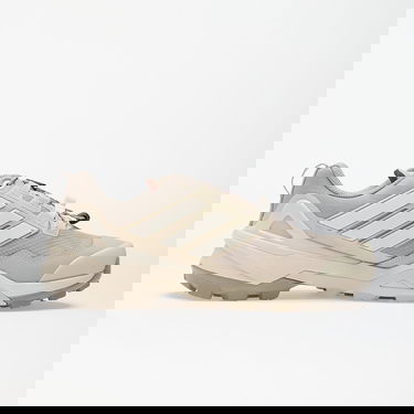 Superge in čevlji adidas Originals Terrex Skychaser GTX Bež | JS4610, 4