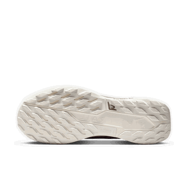 Superge in čevlji Nike Pegasus Trail 5 GORE-TEX SP Rjava | HQ7494-200, 3