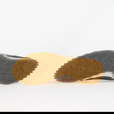 Superge in čevlji Nike Gato Rjava | HQ6019-200, 1