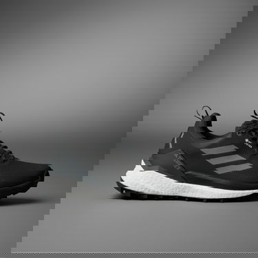 Superge in čevlji adidas Performance Terrex Free Hiker 2.0 Low GORE-TEX Hiking Črna | IG3201, 0