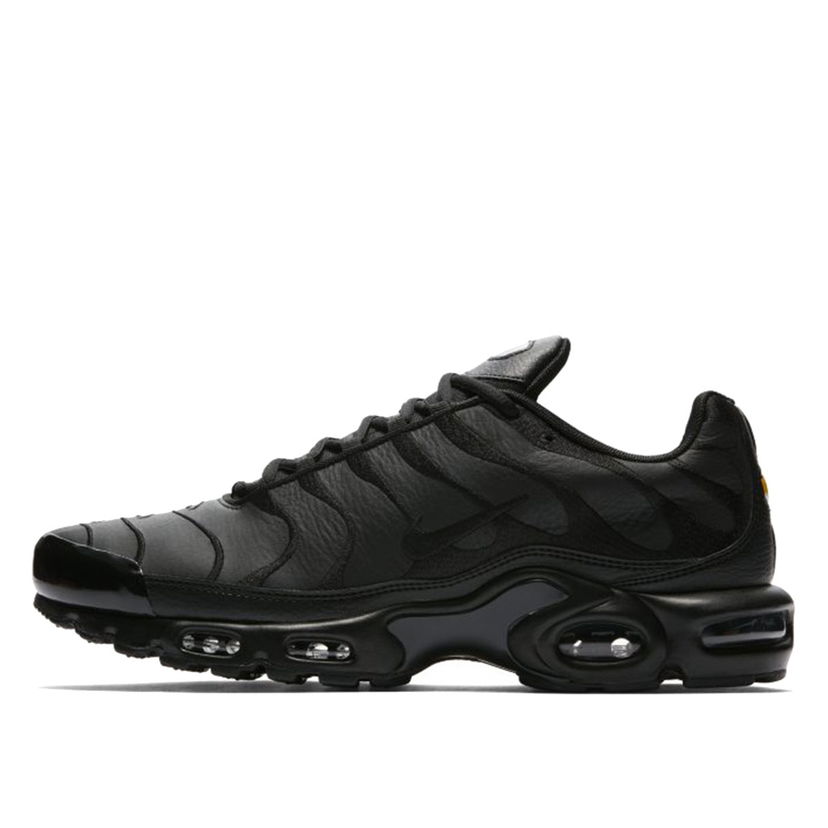 Superge in čevlji Nike Air Max Plus Črna | AJ2029-001